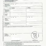Internationale Geburtsurkunde Deutschland (DE-ES) - Musterübersetzungen ...