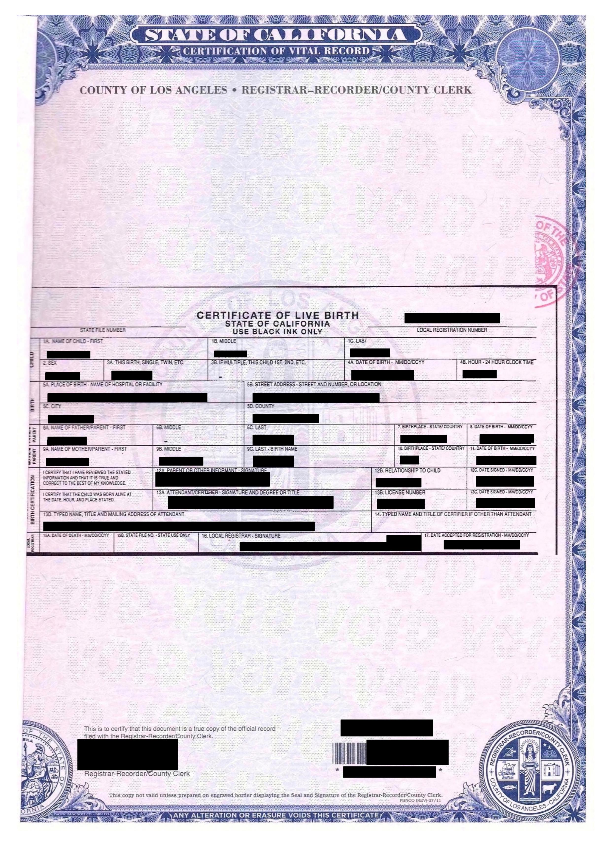 Certificate Of Live Birth Template 