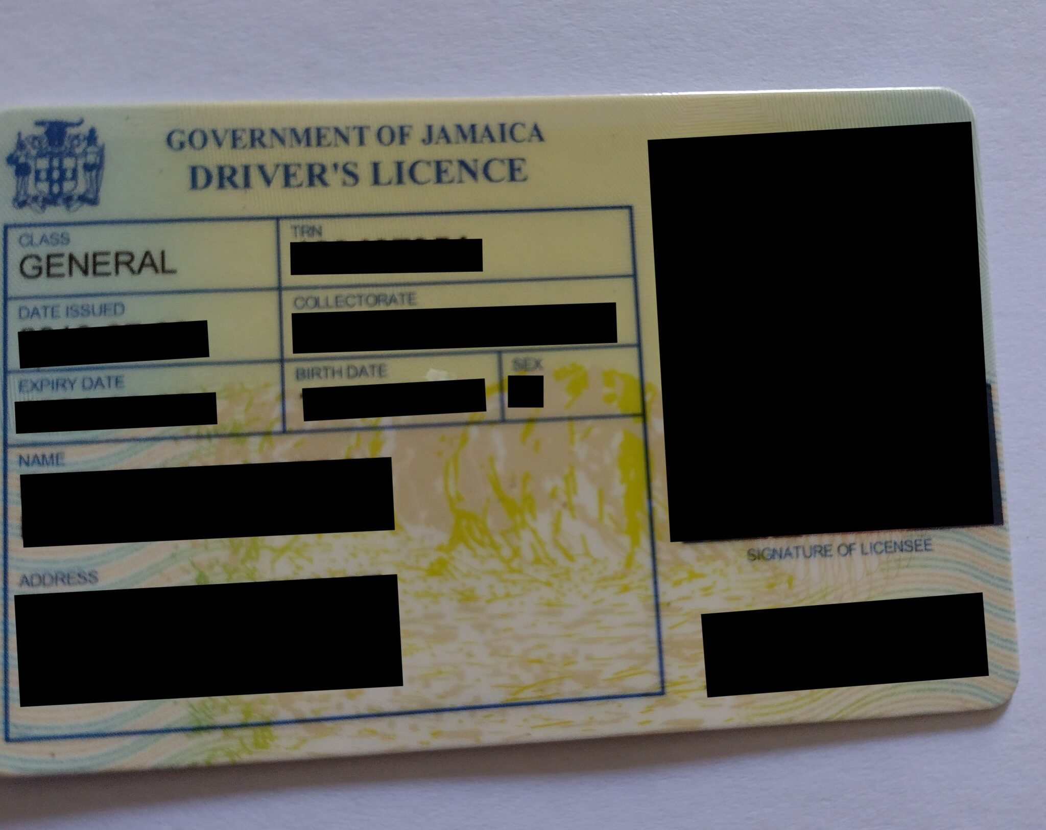 driver-s-licence-jamaica-muster-bersetzungen-von-urkunden