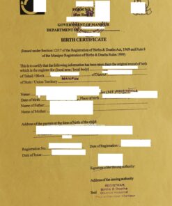 Birth certificate, India (Manipur, 2008)