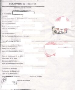 Déclaration de Naissance Benin, Porto-Novo, 2006