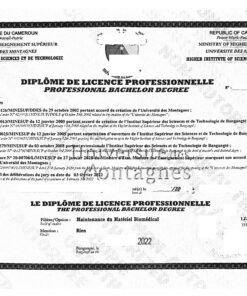 Diplôme de licence professionnelle (Kamerun), 2022