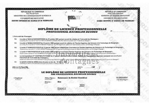 Diplôme de licence professionnelle (Kamerun), 2022
