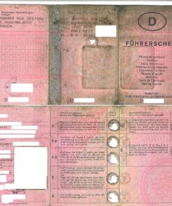 Führerschein aus Deutschland, Modell der EG auf rosa Papier