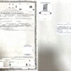 Extracto de Acta de Divorcio (Scheidungsurkunde), Dominikanische Republik
