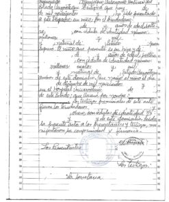 Geburtsurkunde aus Venezuela, 1980er Jahre, handschriftlich