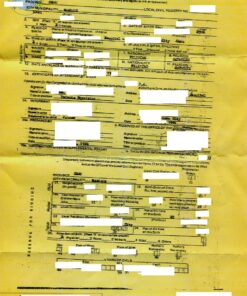Certificate of Birth, Philippines, 1986