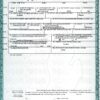 Certificate of live birth, USA (Michigan), 2024