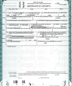 Certificate of live birth, USA (Michigan), 2024