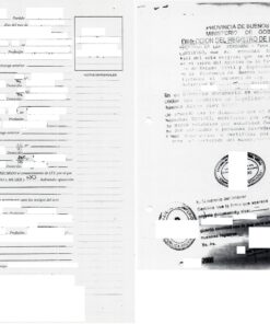 Heiratsurkunde (beglaubigte Kopie aus dem Register), 2008, Argentinien - Buenos Aires