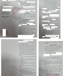 Jugement civil d'adoption Cameroun 2025