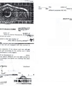 Ledigkeitsbescheiniung (Affidavit), Pakistan, 2010