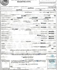 Geburtsurkunde (1994) aus Mexiko (Querétaro)