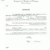 Verzichtserklärung paraguayische Staatsangehörigkeit