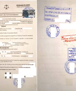 Jugement supplétif (Nachbeurkundungsurteil anstelle einer Geburtsurkunde), Guinea